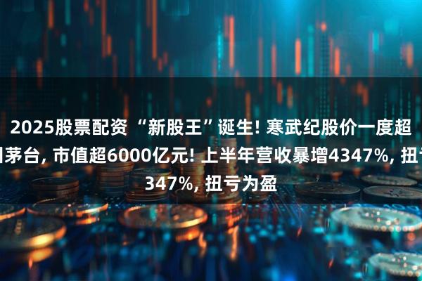 2025股票配资 “新股王”诞生! 寒武纪股价一度超越贵州茅台, 市值超6000亿元! 上半年营收暴增4347%, 扭亏为盈