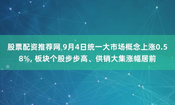 股票配资推荐网 9月4日统一大市场概念上涨0.58%, 板块个股步步高、供销大集涨幅居前