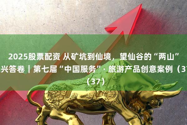 2025股票配资 从矿坑到仙境，望仙谷的“两山”振兴答卷｜第七届“中国服务”· 旅游产品创意案例（37）