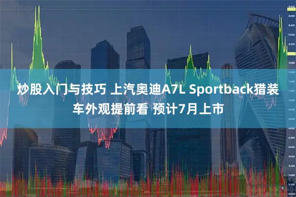 炒股入门与技巧 上汽奥迪A7L Sportback猎装车外观提前看 预计7月上市
